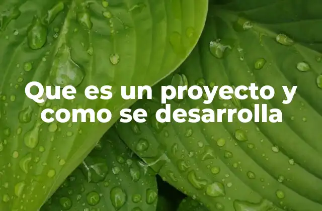 Que es un Proyecto y como Se Desarrolla