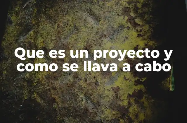 Que es un Proyecto y como Se Llava a Cabo