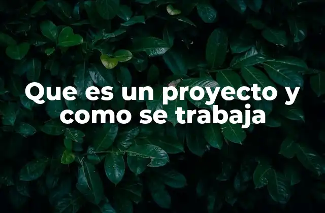 Que es un Proyecto y como Se Trabaja 2 El proceso detrás de la ejecución de un proyecto