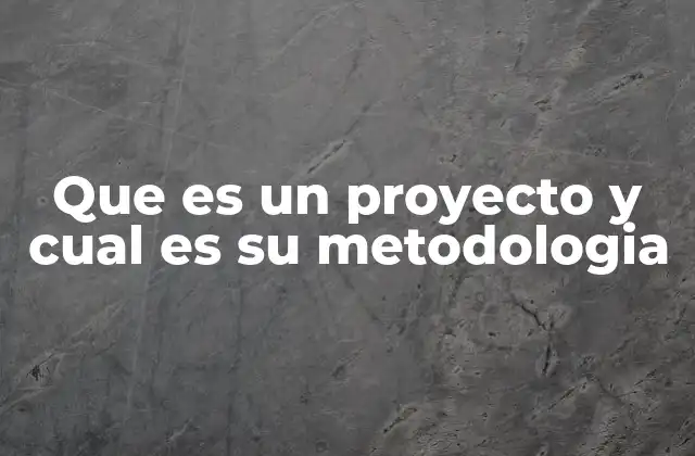 Que es un Proyecto y Cual es Su Metodologia