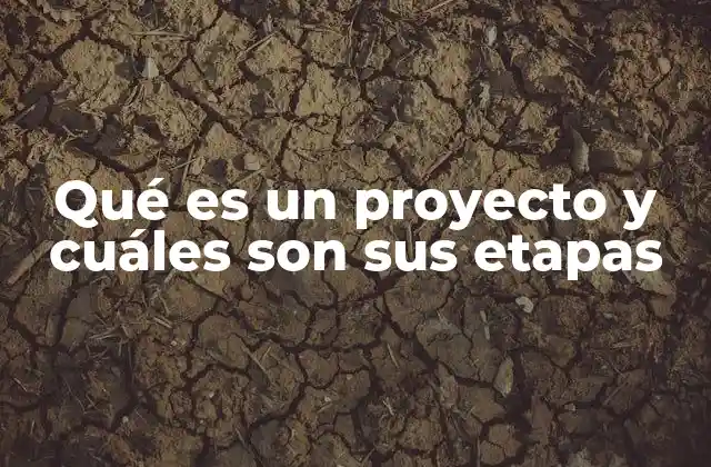 Qué es un Proyecto y Cuáles Son Sus Etapas