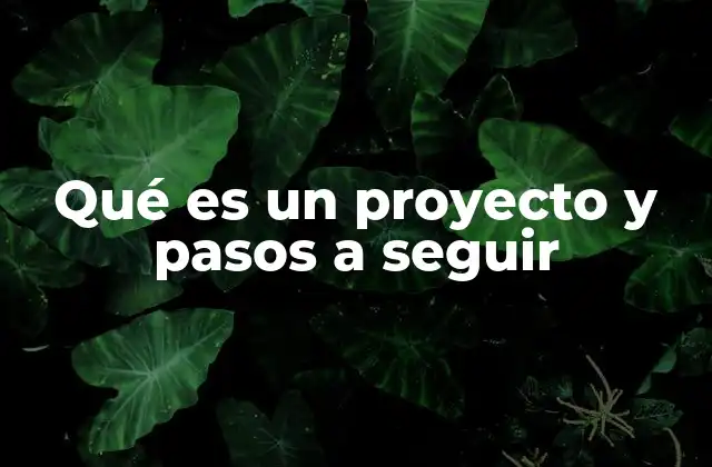 Qué es un Proyecto y Pasos a Seguir