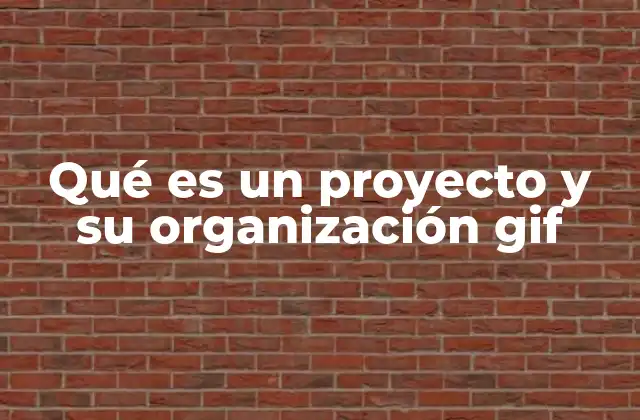 Qué es un Proyecto y Su Organización Gif