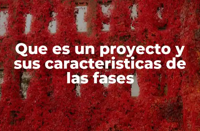 Que es un Proyecto y Sus Caracteristicas de las Fases