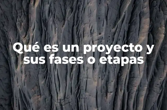 Qué es un Proyecto y Sus Fases o Etapas