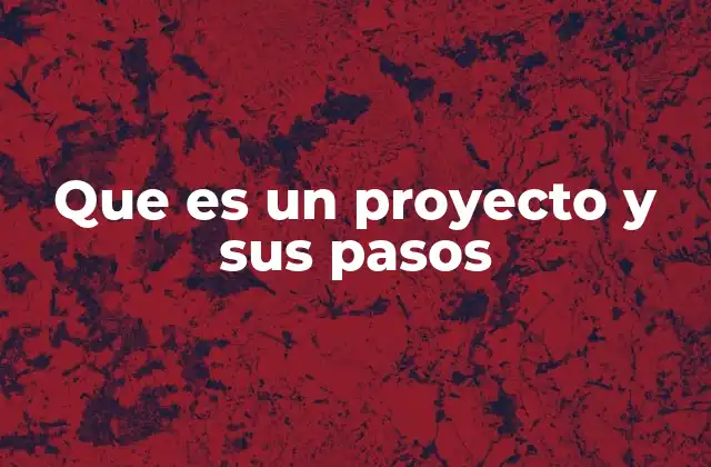 Que es un Proyecto y Sus Pasos