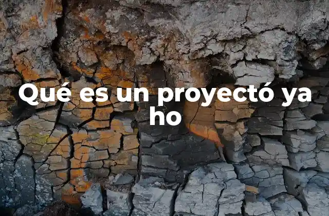 Qué es un Proyectó Ya Ho