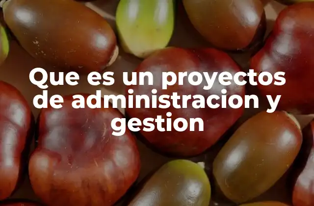 Que es un Proyectos de Administracion y Gestion