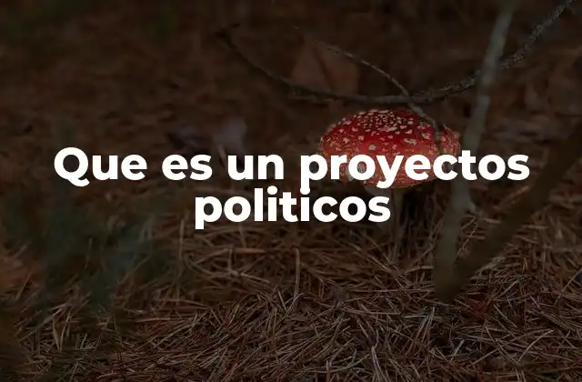 Que es un Proyectos Politicos