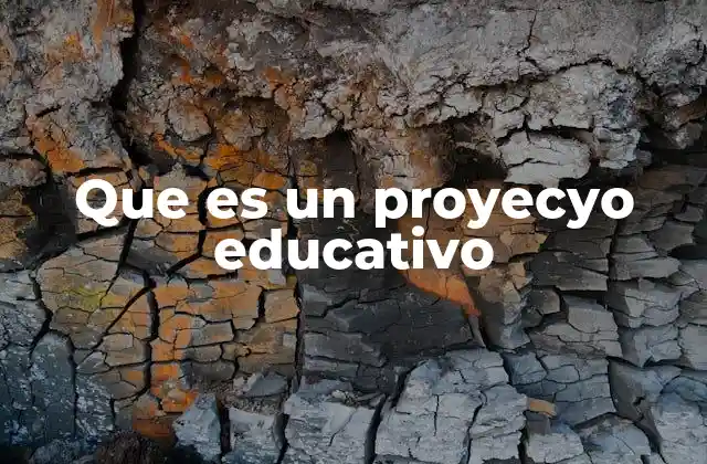 Que es un Proyecyo Educativo