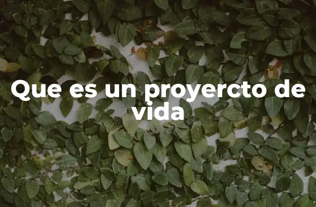 Que es un Proyercto de Vida