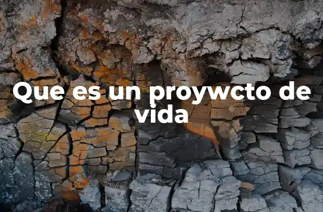 Que es un Proywcto de Vida 2 La importancia de tener un proyecto de vida