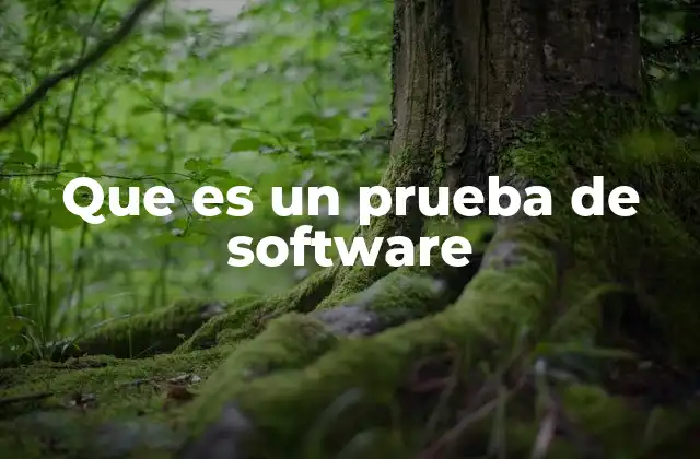 Que es un Prueba de Software