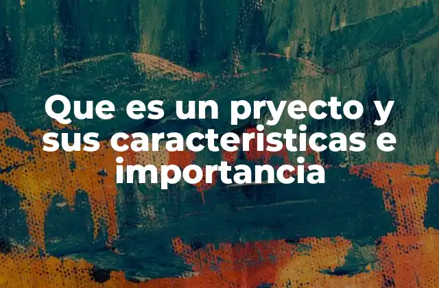 Que es un Pryecto y Sus Caracteristicas e Importancia