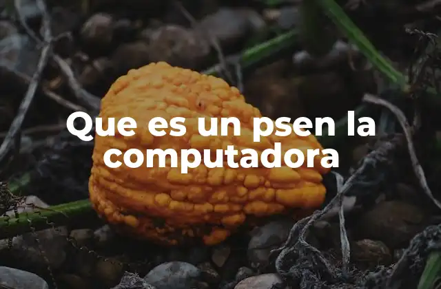 Que es un Psen la Computadora