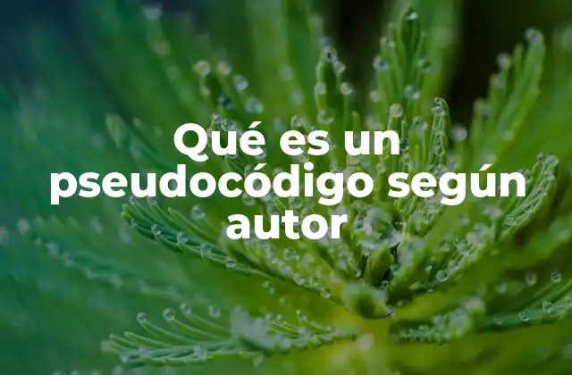 Qué es un Pseudocódigo según Autor