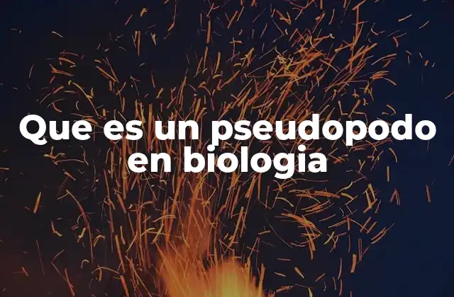 El papel de los pseudópodos en la locomoción celular