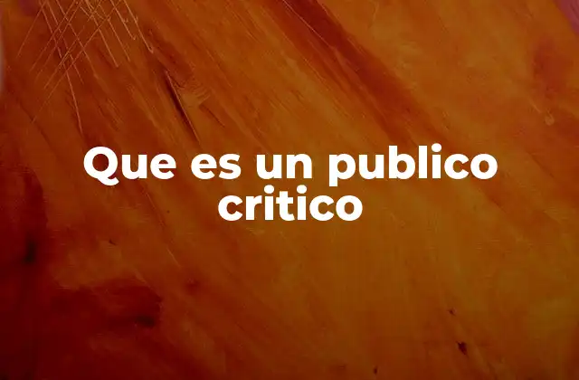 Que es un Publico Critico