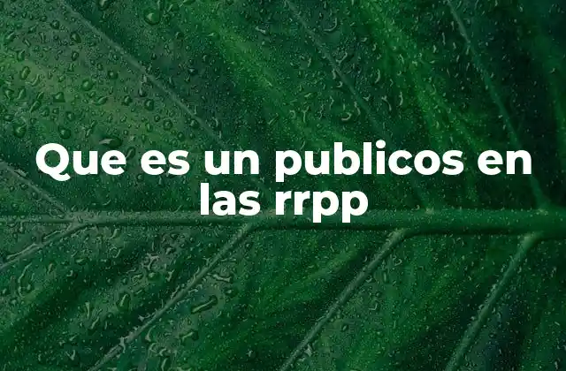 Que es un Publicos en las Rrpp 2 La importancia de identificar a los públicos