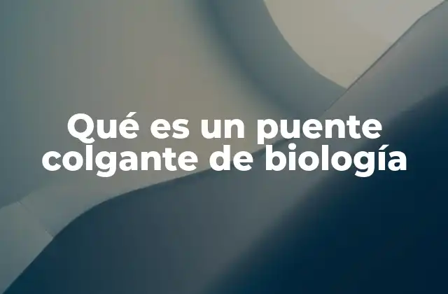 Qué es un Puente Colgante de Biología