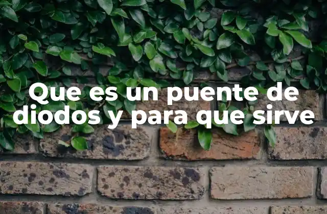 Que es un Puente de Diodos y para que Sirve