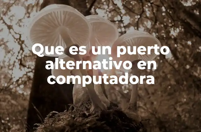 Los puertos en la arquitectura de redes