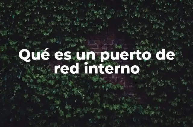 Qué es un Puerto de Red Interno
