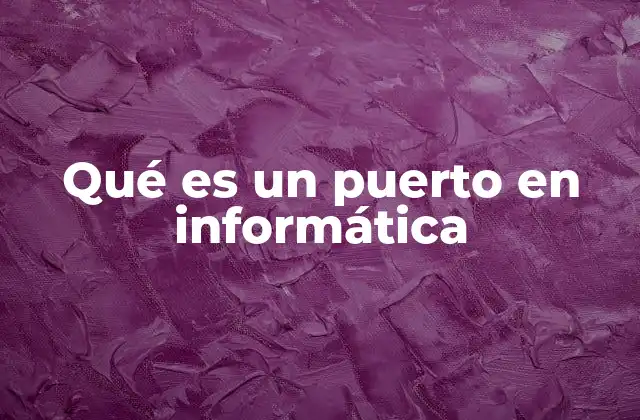 Qué es un Puerto en Informática