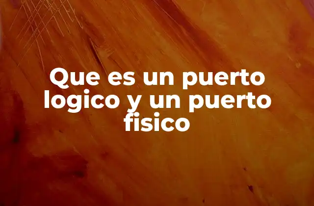 Que es un Puerto Logico y un Puerto Fisico