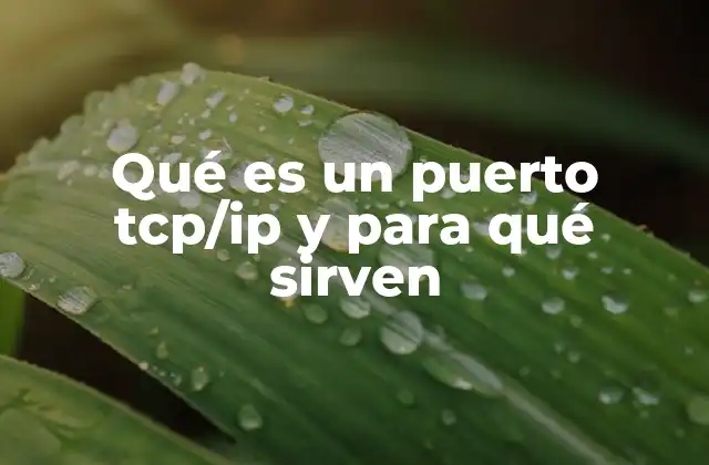 Qué es un Puerto Tcp/ip y para Qué Sirven 2 Cómo los puertos TCP/IP facilitan la comunicación digital