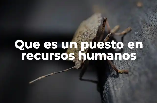 Que es un Puesto en Recursos Humanos
