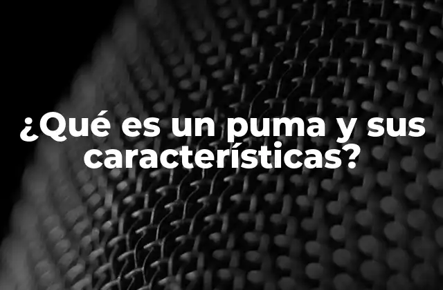 ¿qué es un Puma y Sus Características?