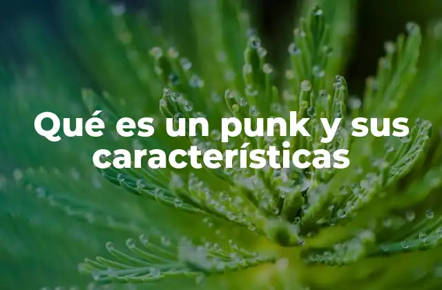 El punk como síntoma de una sociedad en conflicto