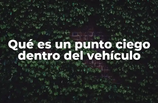 Cómo afectan los puntos ciegos a la seguridad en la carretera