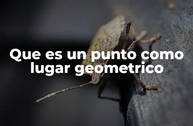 Que es un Punto como Lugar Geometrico 2 La importancia del punto en la geometría moderna