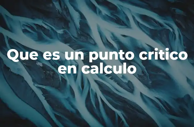 Que es un Punto Critico en Calculo