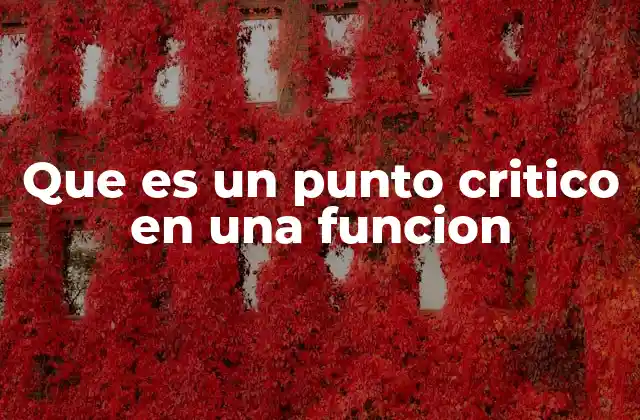 Que es un Punto Critico en una Funcion