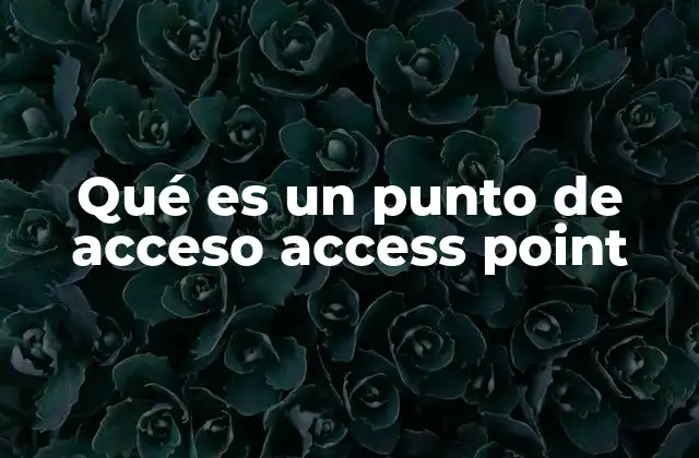 Qué es un Punto de Acceso Access Point