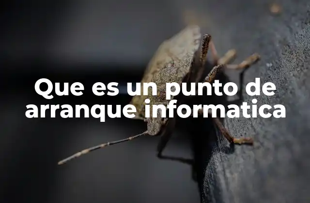 Que es un Punto de Arranque Informatica