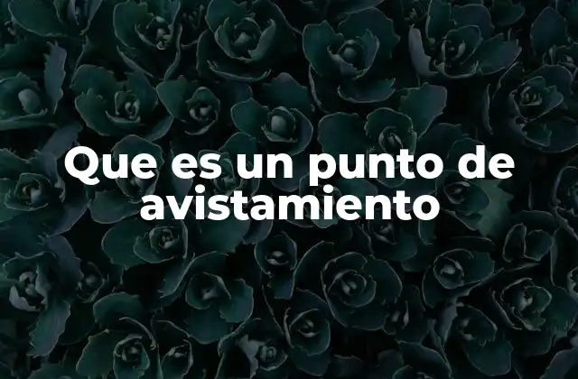 Que es un Punto de Avistamiento