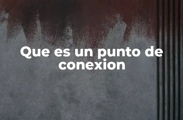 Que es un Punto de Conexion