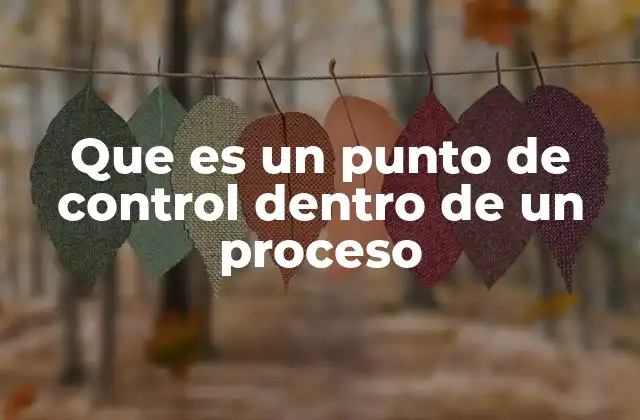 La importancia de los puntos de control en la gestión de procesos