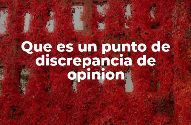 Que es un Punto de Discrepancia de Opinion 2 La importancia de reconocer las diferencias de perspectiva