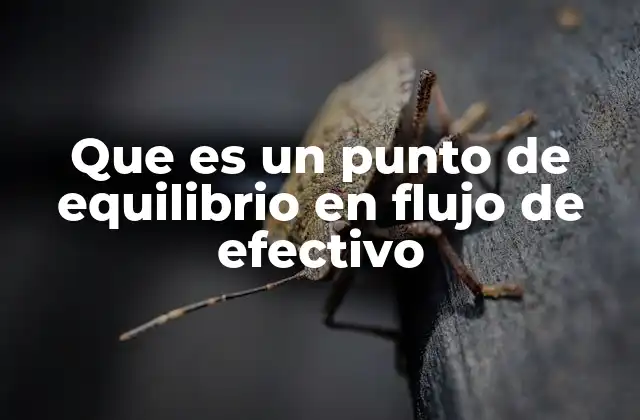 Que es un Punto de Equilibrio en Flujo de Efectivo