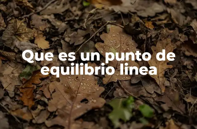 Que es un Punto de Equilibrio Linea
