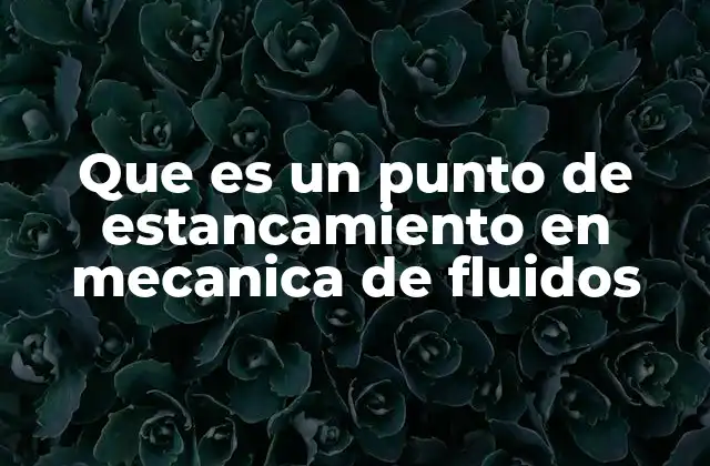 Que es un Punto de Estancamiento en Mecanica de Fluidos