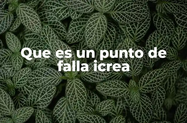 Que es un Punto de Falla Icrea