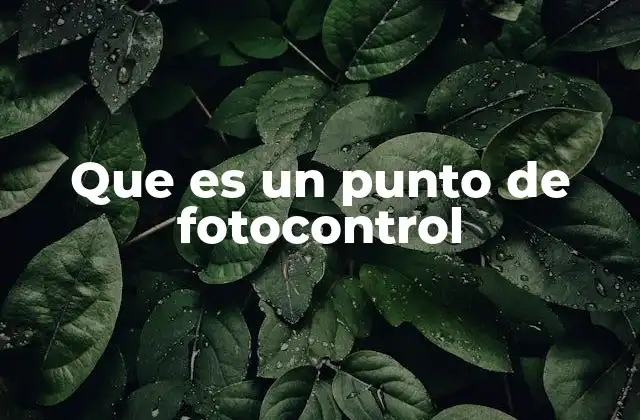 Que es un Punto de Fotocontrol