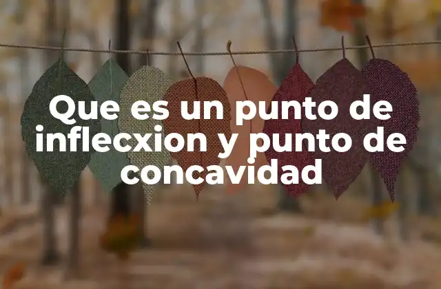 Que es un Punto de Inflecxion y Punto de Concavidad