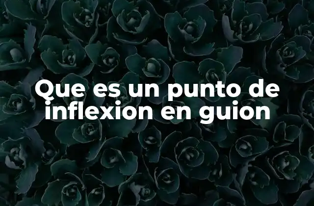 Que es un Punto de Inflexion en Guion